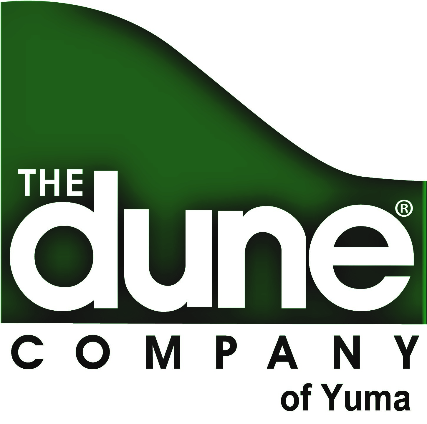 LOGO - Dune Company Yuma (2)